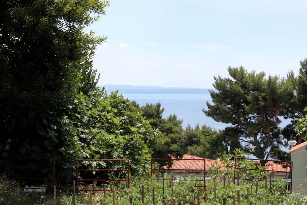 Apartman Buki **** Split Buitenkant foto