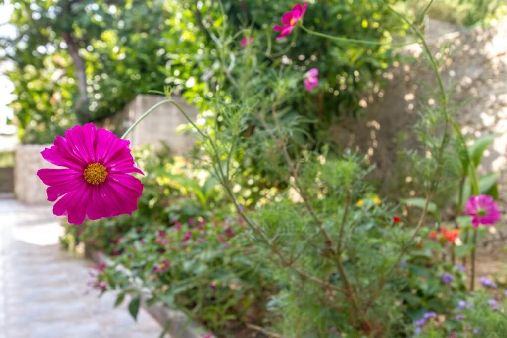 Apartman Buki **** Split Buitenkant foto