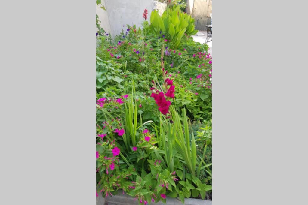 Apartman Buki **** Split Buitenkant foto